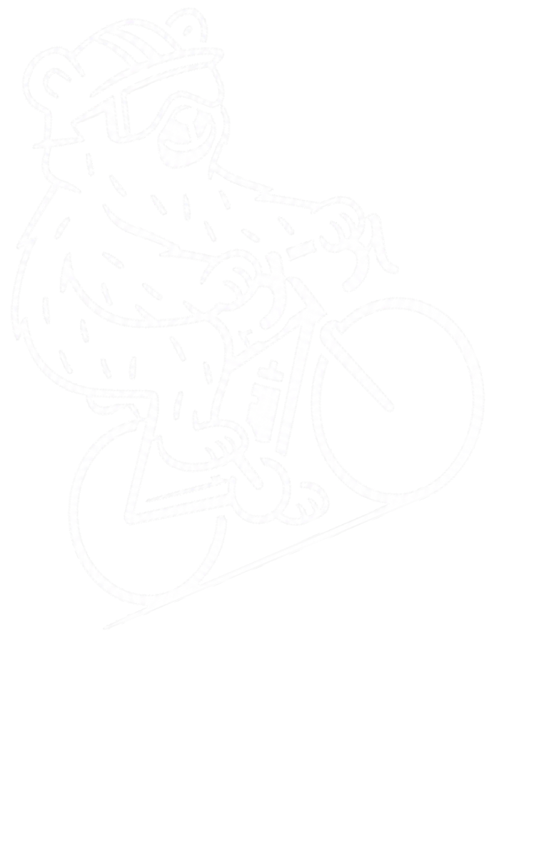 VELOURS bear riding a bicycle